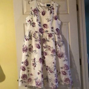 *Final Drop* Liza Luxe by ModCloth dress